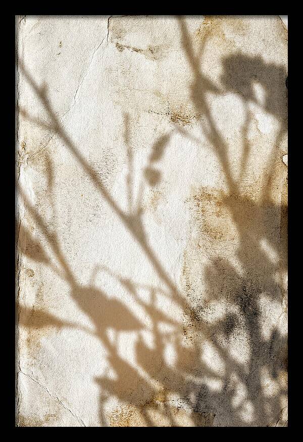 Shadow Play On White