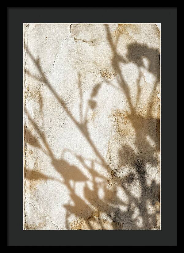 Shadow Play On White