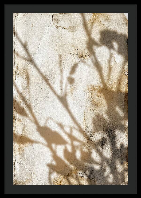 Shadow Play On White
