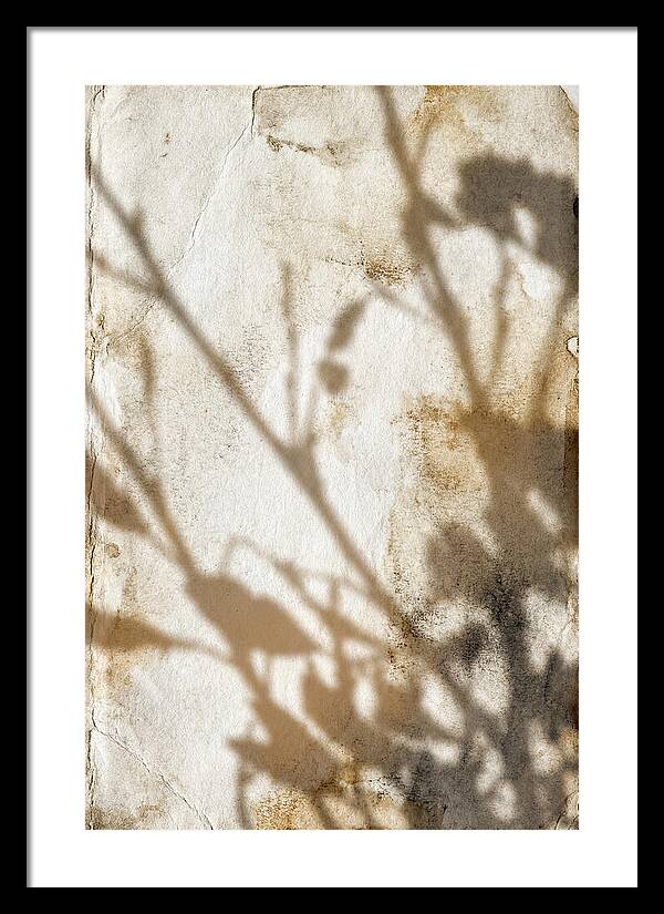 Shadow Play On White
