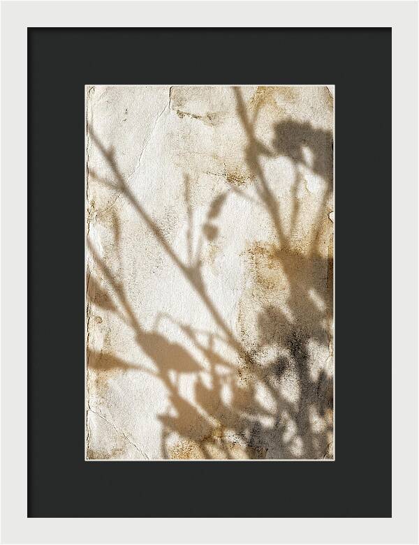 Shadow Play On White