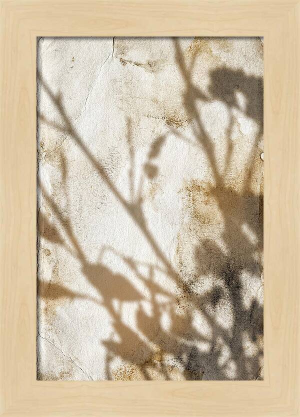 Shadow Play On White
