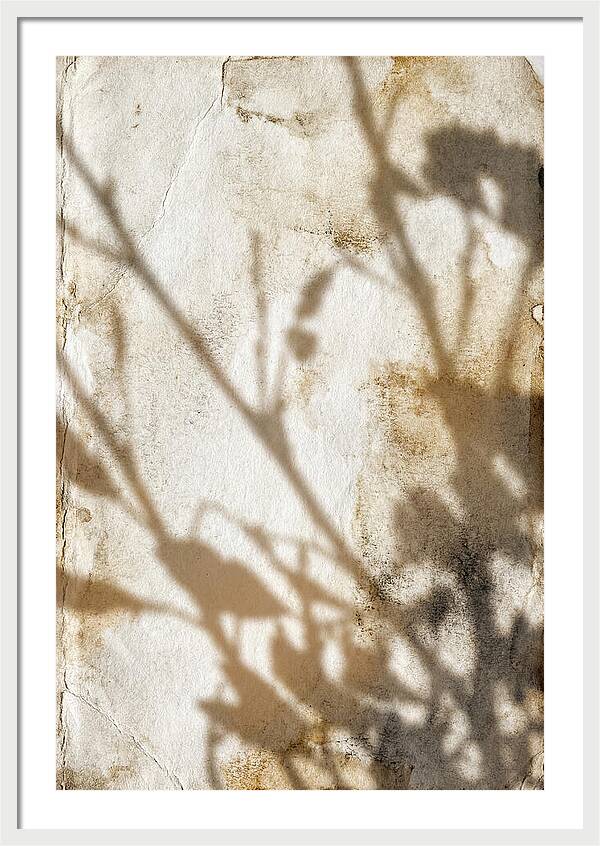 Shadow Play On White