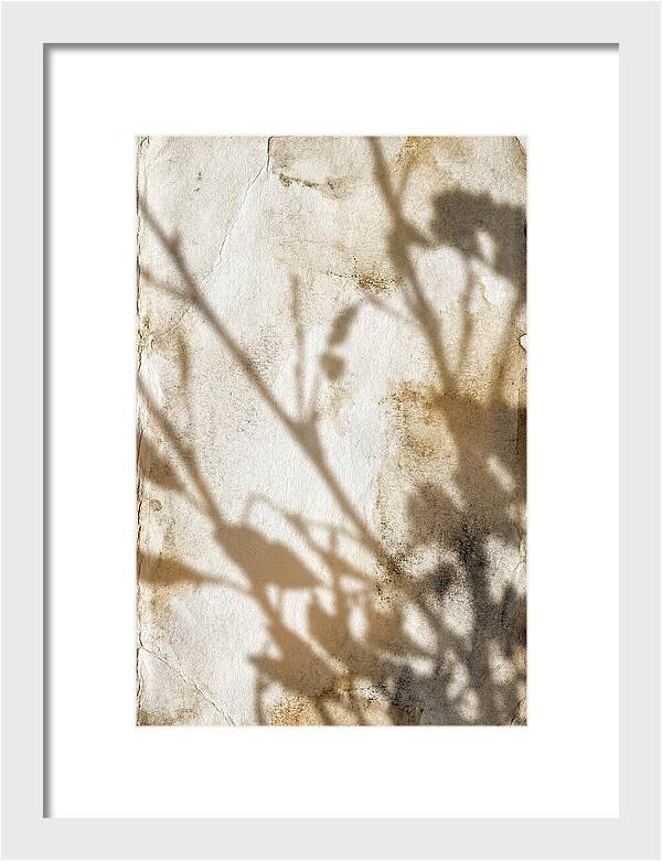 Shadow Play On White
