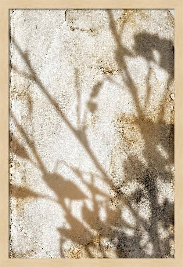 Shadow Play On White