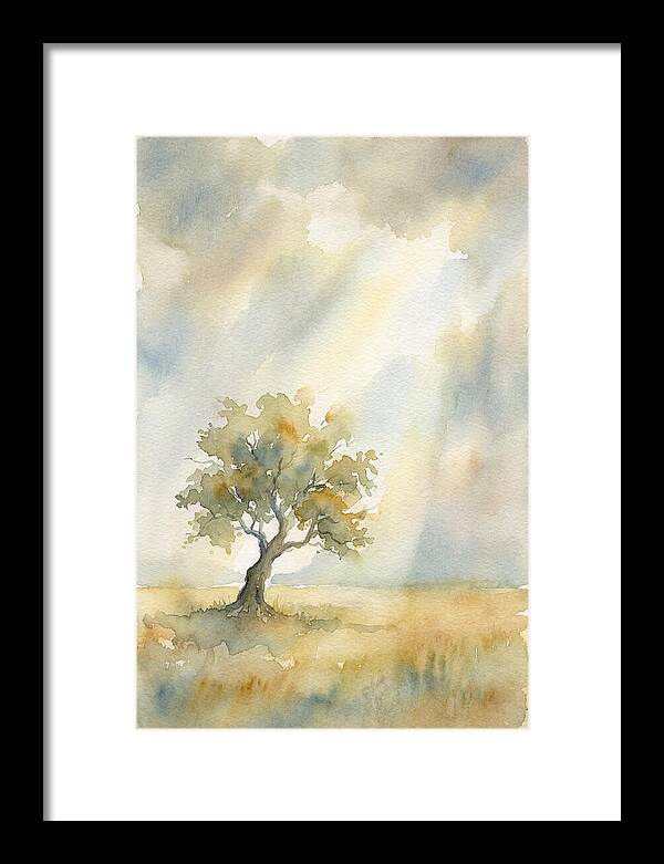 Shaft Of Light Illuminating Tree