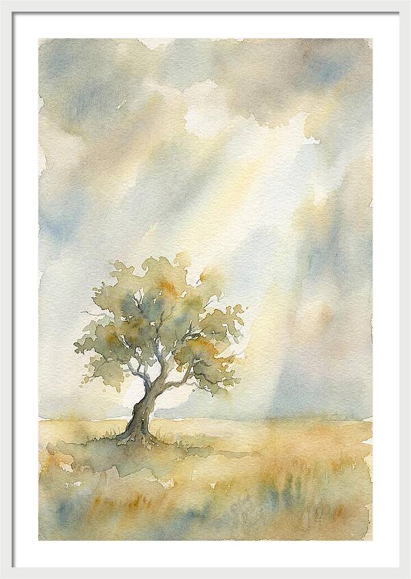 Shaft Of Light Illuminating Tree