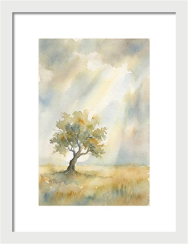 Shaft Of Light Illuminating Tree