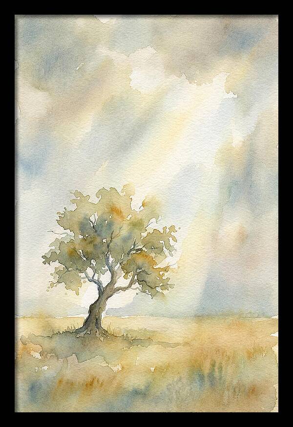 Shaft Of Light Illuminating Tree