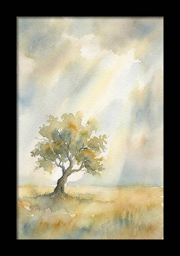 Shaft Of Light Illuminating Tree