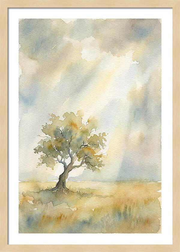 Shaft Of Light Illuminating Tree