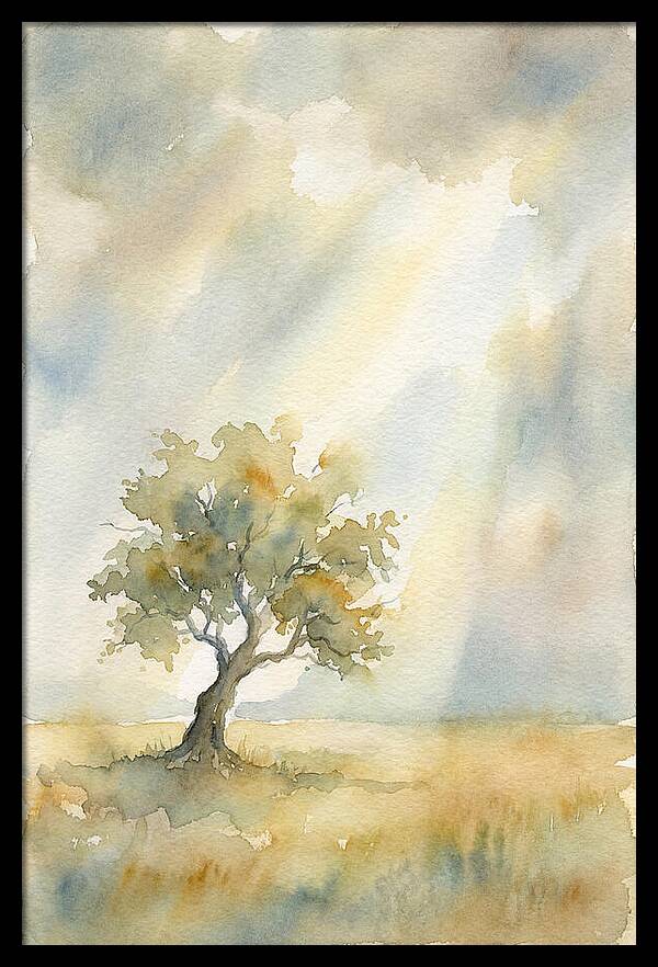 Shaft Of Light Illuminating Tree