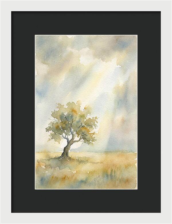 Shaft Of Light Illuminating Tree