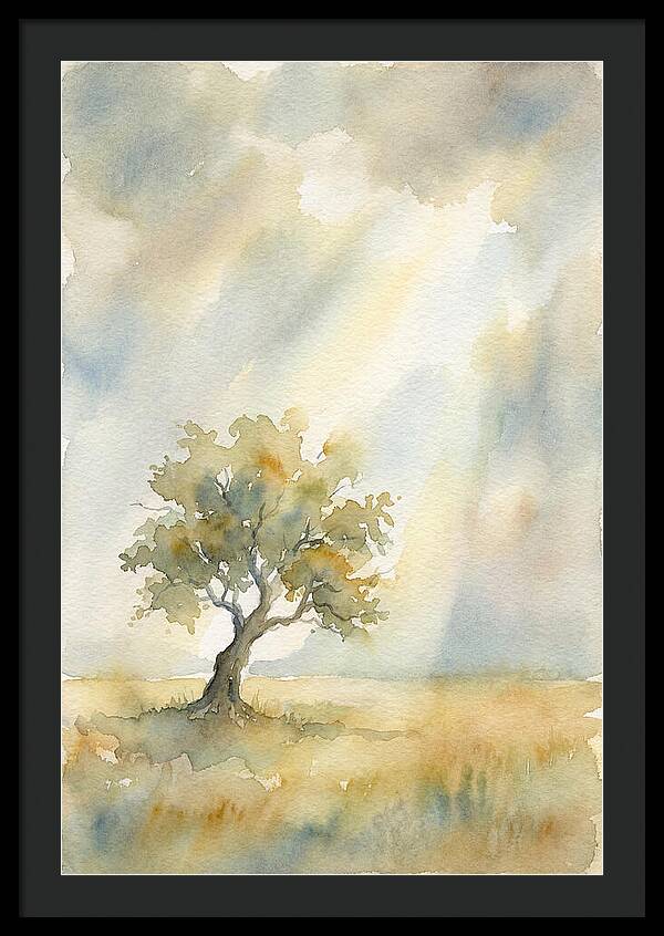 Shaft Of Light Illuminating Tree