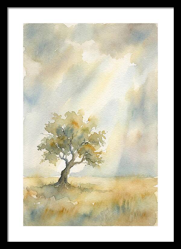 Shaft Of Light Illuminating Tree