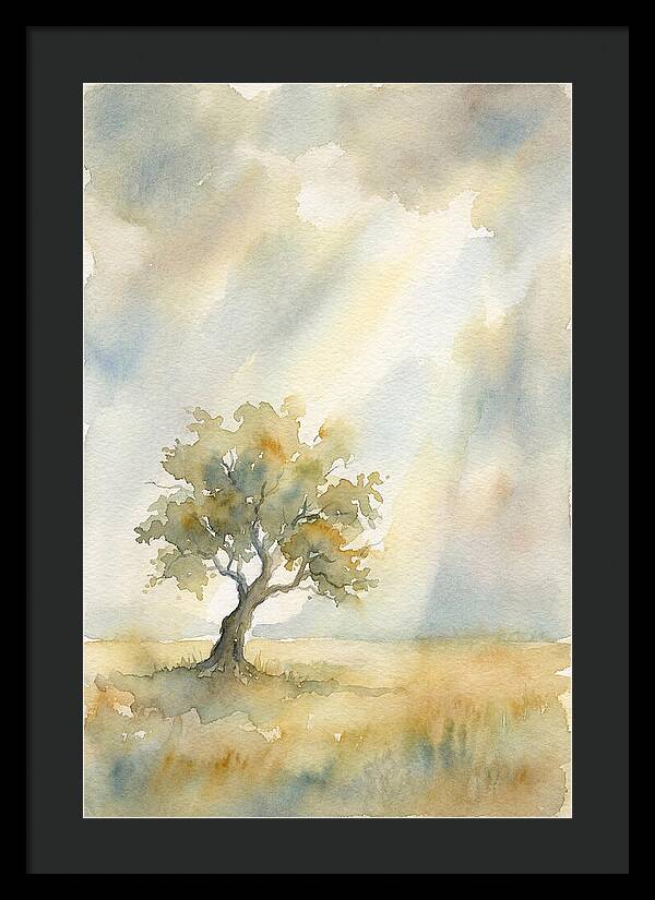 Shaft Of Light Illuminating Tree