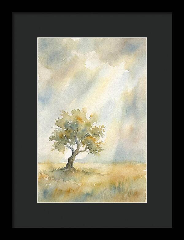 Shaft Of Light Illuminating Tree