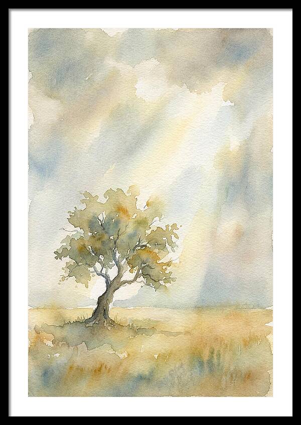 Shaft Of Light Illuminating Tree