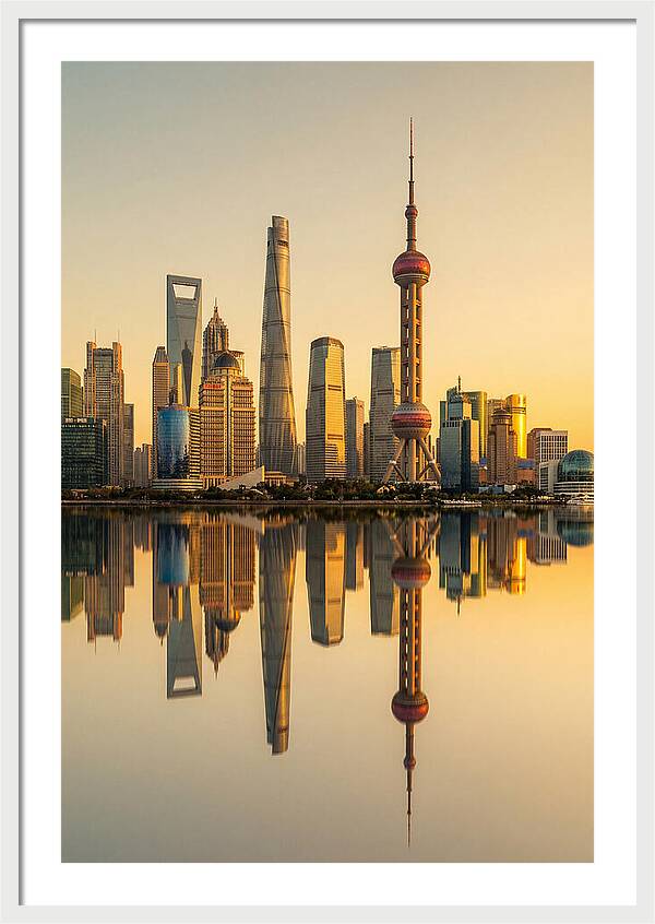 Shanghai Pudong Skyline Reflection