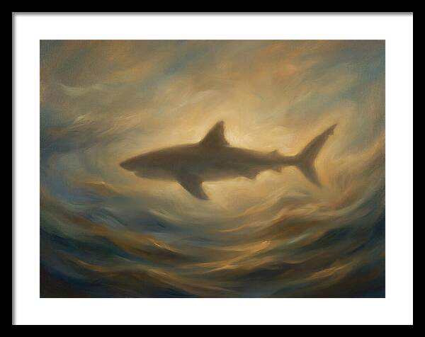 Shark Silhouette