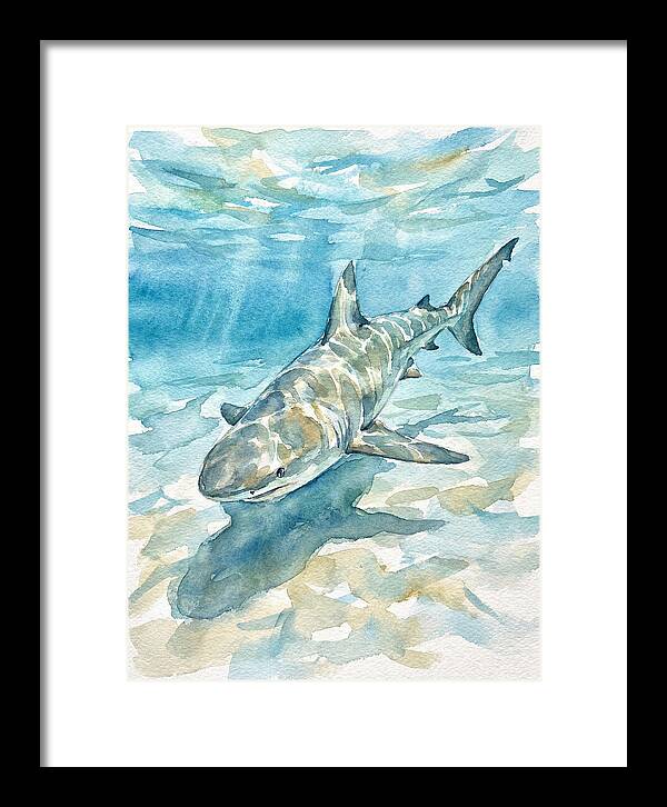 Shark Swimming Gracefully