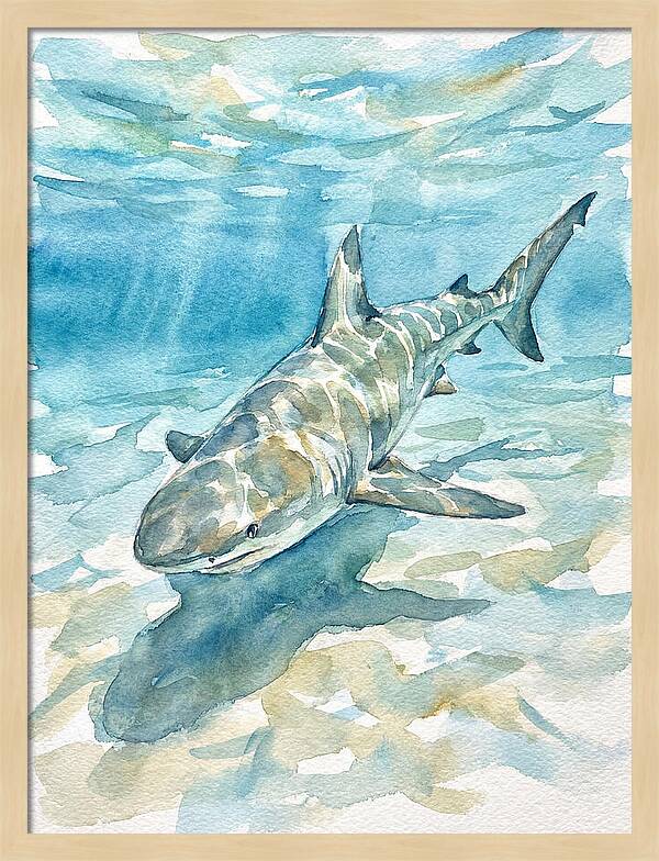 Shark Swimming Gracefully