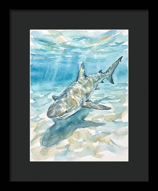 Shark Swimming Gracefully