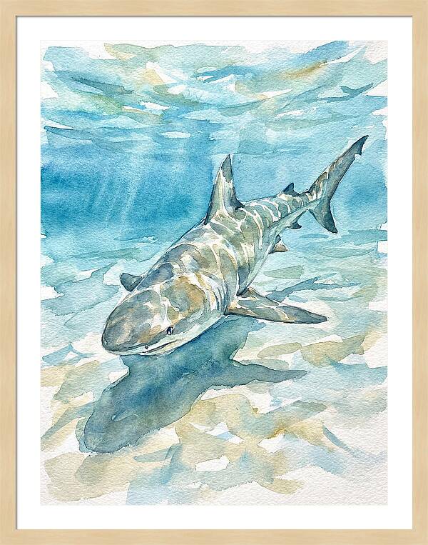 Shark Swimming Gracefully
