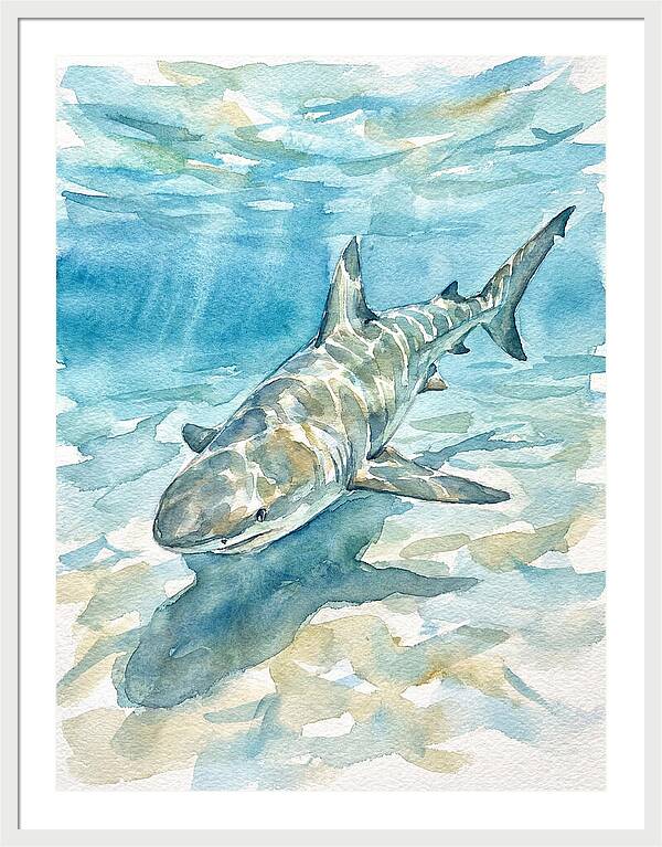 Shark Swimming Gracefully
