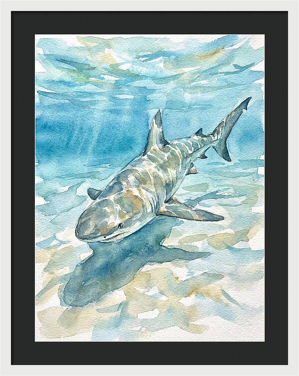 Shark Swimming Gracefully