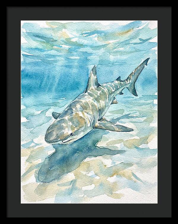 Shark Swimming Gracefully