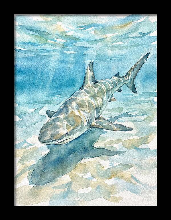 Shark Swimming Gracefully