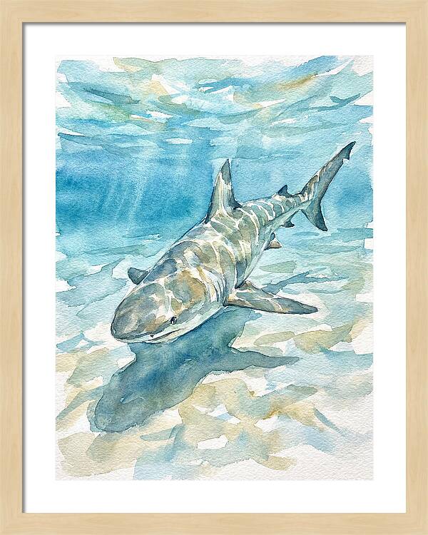 Shark Swimming Gracefully