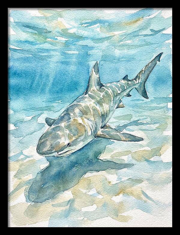 Shark Swimming Gracefully