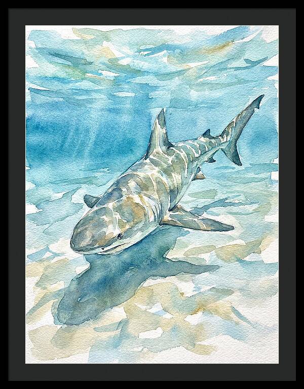 Shark Swimming Gracefully