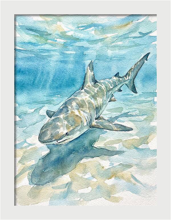 Shark Swimming Gracefully