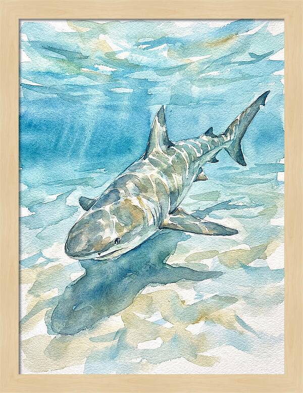 Shark Swimming Gracefully