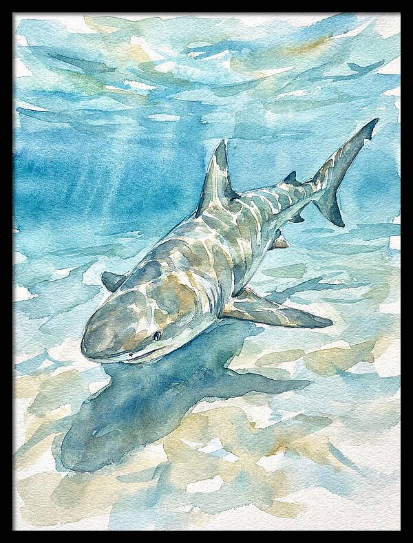 Shark Swimming Gracefully