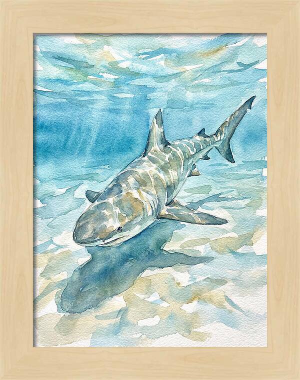 Shark Swimming Gracefully