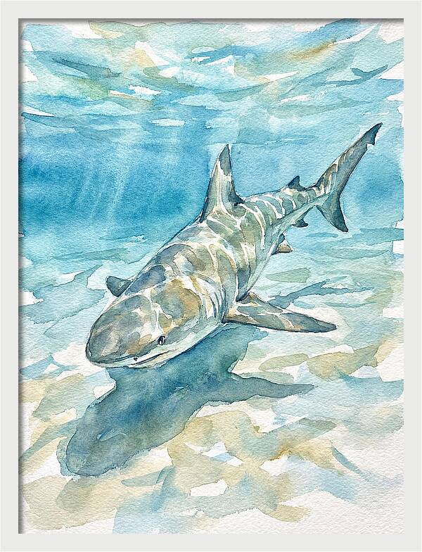 Shark Swimming Gracefully