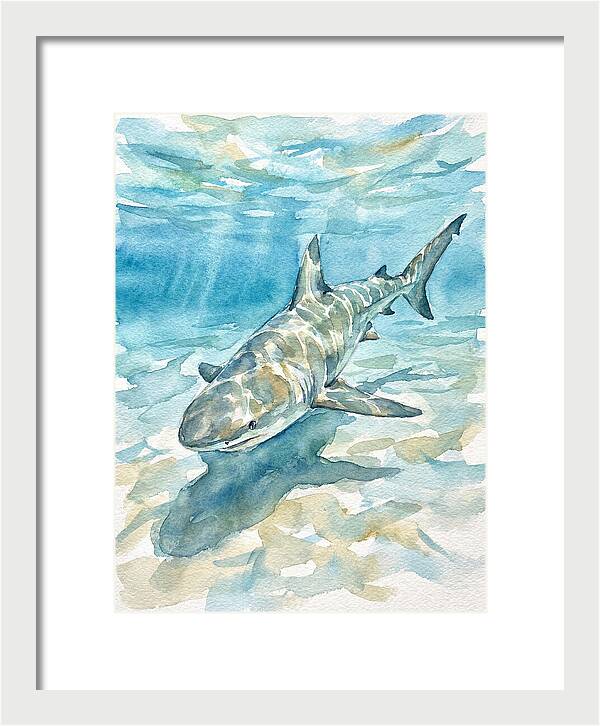 Shark Swimming Gracefully