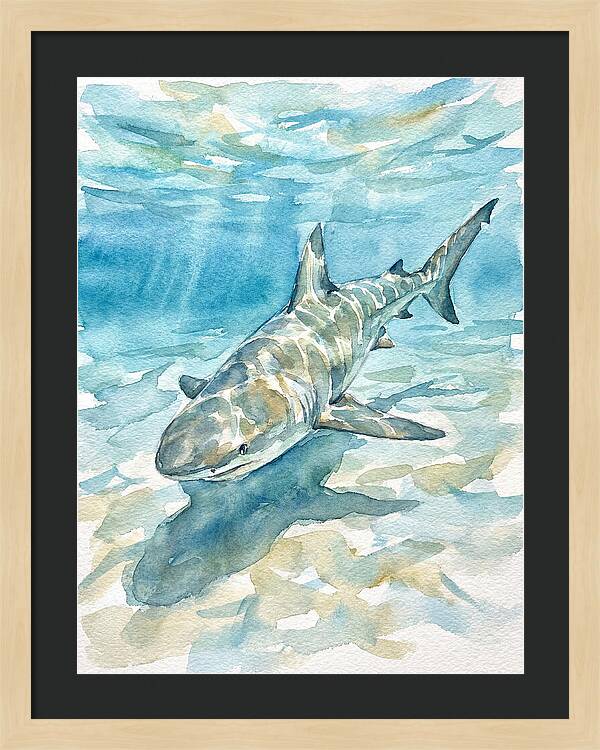 Shark Swimming Gracefully