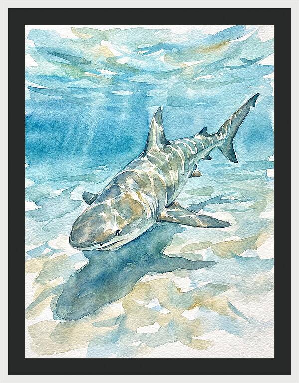 Shark Swimming Gracefully