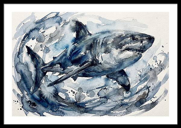 Shark Swimming In Watercolor