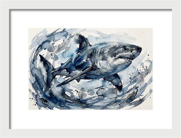 Shark Swimming In Watercolor