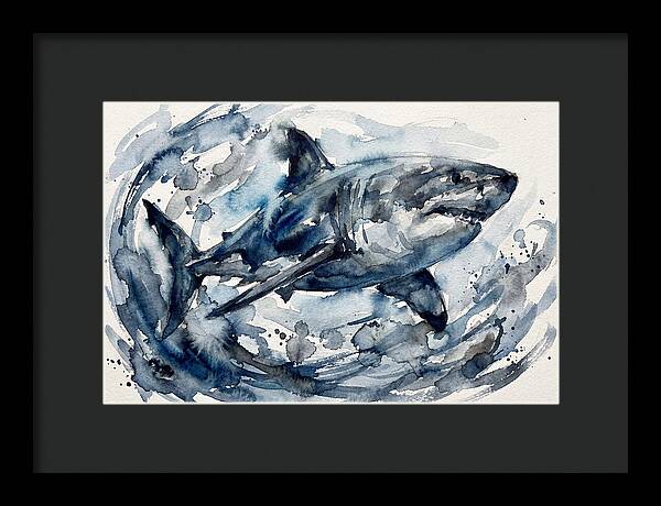 Shark Swimming In Watercolor