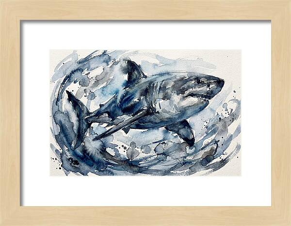 Shark Swimming In Watercolor