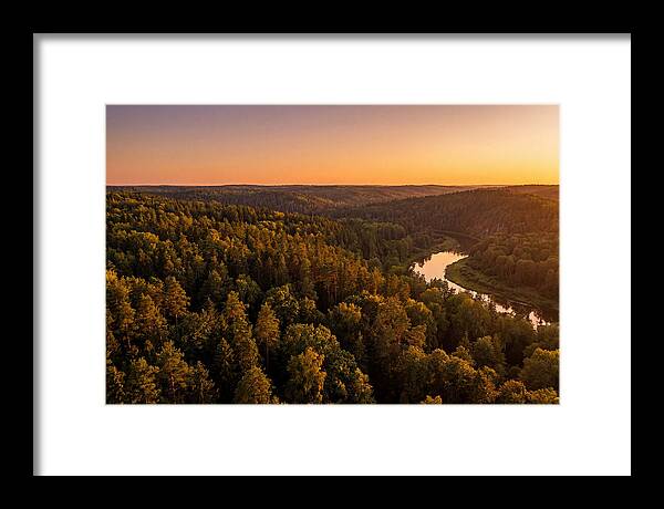 Shawnee Forest Serenity