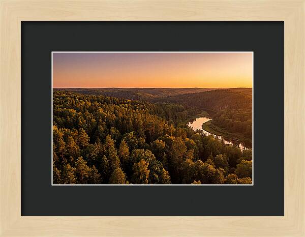 Shawnee Forest Serenity