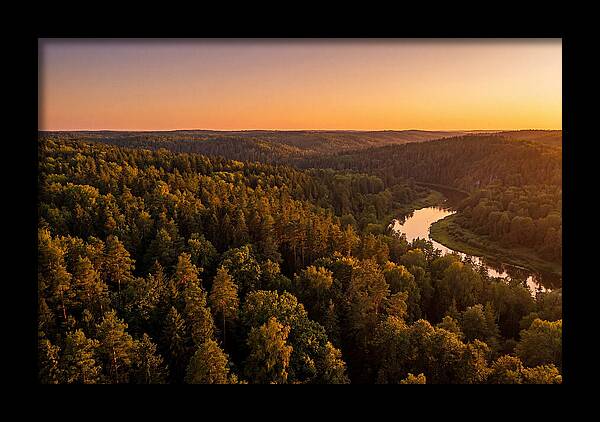 Shawnee Forest Serenity